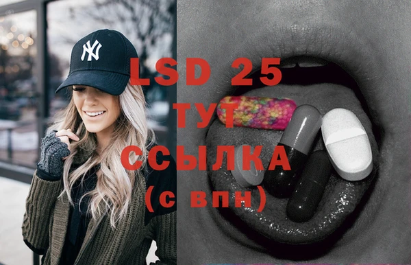 прущие грибы Балахна