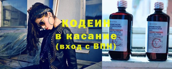 прущие грибы Балахна