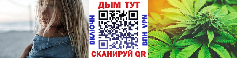 купить наркоту Михайлов Марихуана сатива